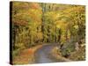 Road up Burke Mountain in Fall, East Burke, Vermont, USA-Darrell Gulin-Stretched Canvas