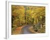 Road up Burke Mountain in Fall, East Burke, Vermont, USA-Darrell Gulin-Framed Photographic Print