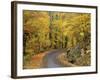 Road up Burke Mountain in Fall, East Burke, Vermont, USA-Darrell Gulin-Framed Photographic Print