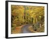 Road up Burke Mountain in Fall, East Burke, Vermont, USA-Darrell Gulin-Framed Photographic Print