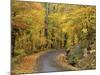 Road up Burke Mountain in Fall, East Burke, Vermont, USA-Darrell Gulin-Mounted Photographic Print