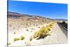 Road view - Death Valley National Park - California - USA - North America-Philippe Hugonnard-Stretched Canvas