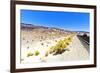 Road view - Death Valley National Park - California - USA - North America-Philippe Hugonnard-Framed Photographic Print