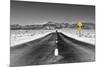 Road view - Death Valley National Park - California - USA - North America-Philippe Hugonnard-Mounted Photographic Print