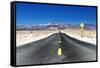 Road view - Death Valley National Park - California - USA - North America-Philippe Hugonnard-Framed Stretched Canvas