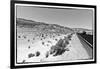 Road view - Death Valley National Park - California - USA - North America-Philippe Hugonnard-Framed Art Print