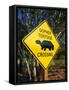 Road Warning Sign, J. N. Ding Darling Wildlife Refuge, Sanibel Island, Florida, USA-Tomlinson Ruth-Framed Stretched Canvas