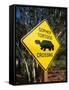 Road Warning Sign, J. N. Ding Darling Wildlife Refuge, Sanibel Island, Florida, USA-Tomlinson Ruth-Framed Stretched Canvas