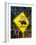 Road Warning Sign, J. N. Ding Darling Wildlife Refuge, Sanibel Island, Florida, USA-Tomlinson Ruth-Framed Photographic Print