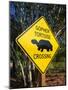 Road Warning Sign, J. N. Ding Darling Wildlife Refuge, Sanibel Island, Florida, USA-Tomlinson Ruth-Mounted Photographic Print