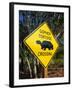 Road Warning Sign, J. N. Ding Darling Wildlife Refuge, Sanibel Island, Florida, USA-Tomlinson Ruth-Framed Photographic Print