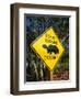 Road Warning Sign, J. N. Ding Darling Wildlife Refuge, Sanibel Island, Florida, USA-Tomlinson Ruth-Framed Photographic Print