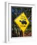 Road Warning Sign, J. N. Ding Darling Wildlife Refuge, Sanibel Island, Florida, USA-Tomlinson Ruth-Framed Photographic Print