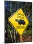Road Warning Sign, J. N. Ding Darling Wildlife Refuge, Sanibel Island, Florida, USA-Tomlinson Ruth-Mounted Photographic Print