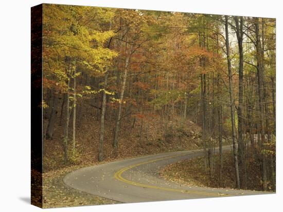 Road Winding Through Autumn Colors, Pine Mountain State Park, Kentucky, USA-Adam Jones-Stretched Canvas