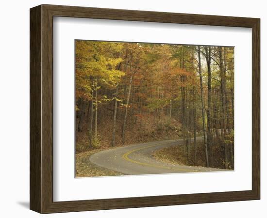 Road Winding Through Autumn Colors, Pine Mountain State Park, Kentucky, USA-Adam Jones-Framed Photographic Print