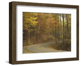 Road Winding Through Autumn Colors, Pine Mountain State Park, Kentucky, USA-Adam Jones-Framed Photographic Print