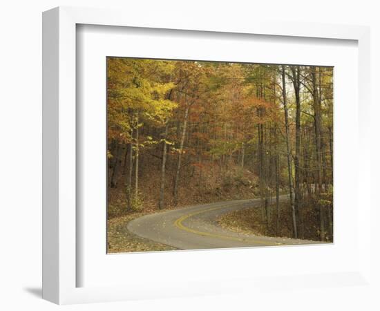 Road Winding Through Autumn Colors, Pine Mountain State Park, Kentucky, USA-Adam Jones-Framed Photographic Print