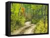 Road with Autumn Colors and Aspens in Kebler Pass, Colorado, USA-Julie Eggers-Framed Stretched Canvas