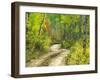 Road with Autumn Colors and Aspens in Kebler Pass, Colorado, USA-Julie Eggers-Framed Premium Photographic Print