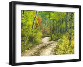 Road with Autumn Colors and Aspens in Kebler Pass, Colorado, USA-Julie Eggers-Framed Premium Photographic Print