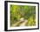 Road with Autumn Colors and Aspens in Kebler Pass, Colorado, USA-Julie Eggers-Framed Premium Photographic Print