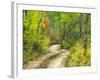 Road with Autumn Colors and Aspens in Kebler Pass, Colorado, USA-Julie Eggers-Framed Photographic Print