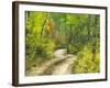 Road with Autumn Colors and Aspens in Kebler Pass, Colorado, USA-Julie Eggers-Framed Photographic Print