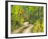 Road with Autumn Colors and Aspens in Kebler Pass, Colorado, USA-Julie Eggers-Framed Photographic Print