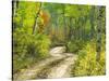 Road with Autumn Colors and Aspens in Kebler Pass, Colorado, USA-Julie Eggers-Stretched Canvas