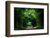 Road with Bamboo-joesayhello-Framed Photographic Print