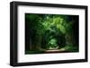 Road with Bamboo-joesayhello-Framed Photographic Print