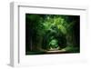 Road with Bamboo-joesayhello-Framed Photographic Print