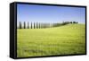 Road with Cypresses and Farmhouse. Orcia Valley, Siena District, Tuscany, Italy.-ClickAlps-Framed Stretched Canvas