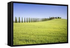 Road with Cypresses and Farmhouse. Orcia Valley, Siena District, Tuscany, Italy.-ClickAlps-Framed Stretched Canvas