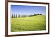 Road with Cypresses and Farmhouse. Orcia Valley, Siena District, Tuscany, Italy.-ClickAlps-Framed Photographic Print