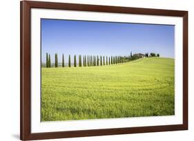 Road with Cypresses and Farmhouse. Orcia Valley, Siena District, Tuscany, Italy.-ClickAlps-Framed Photographic Print