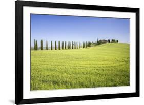 Road with Cypresses and Farmhouse. Orcia Valley, Siena District, Tuscany, Italy.-ClickAlps-Framed Photographic Print