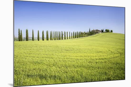 Road with Cypresses and Farmhouse. Orcia Valley, Siena District, Tuscany, Italy.-ClickAlps-Mounted Photographic Print