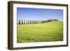 Road with Cypresses and Farmhouse. Orcia Valley, Siena District, Tuscany, Italy.-ClickAlps-Framed Photographic Print