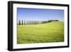 Road with Cypresses and Farmhouse. Orcia Valley, Siena District, Tuscany, Italy.-ClickAlps-Framed Photographic Print