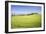 Road with Cypresses and Farmhouse. Orcia Valley, Siena District, Tuscany, Italy.-ClickAlps-Framed Photographic Print