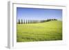 Road with Cypresses and Farmhouse. Orcia Valley, Siena District, Tuscany, Italy.-ClickAlps-Framed Photographic Print