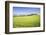 Road with Cypresses and Farmhouse. Orcia Valley, Siena District, Tuscany, Italy.-ClickAlps-Framed Photographic Print