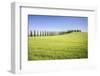 Road with Cypresses and Farmhouse. Orcia Valley, Siena District, Tuscany, Italy.-ClickAlps-Framed Photographic Print