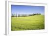 Road with Cypresses and Farmhouse. Orcia Valley, Siena District, Tuscany, Italy.-ClickAlps-Framed Photographic Print