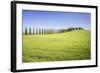 Road with Cypresses and Farmhouse. Orcia Valley, Siena District, Tuscany, Italy.-ClickAlps-Framed Photographic Print