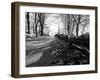 Road with Leaves on Ground-Sharon Wish-Framed Photographic Print