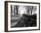 Road with Leaves on Ground-Sharon Wish-Framed Photographic Print