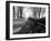 Road with Leaves on Ground-Sharon Wish-Framed Photographic Print